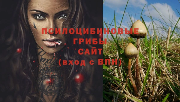 спайс Баксан