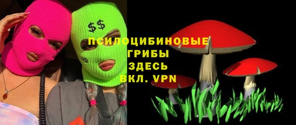 спайс Баксан