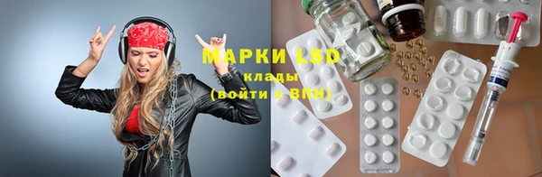 прущие грибы Балабаново