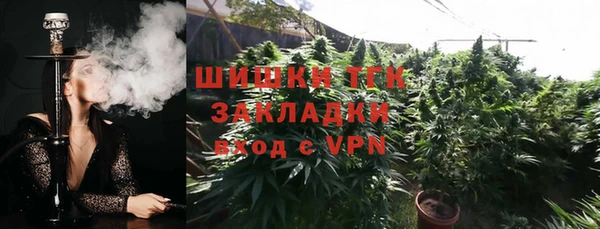 ПСИЛОЦИБИНОВЫЕ ГРИБЫ Аркадак