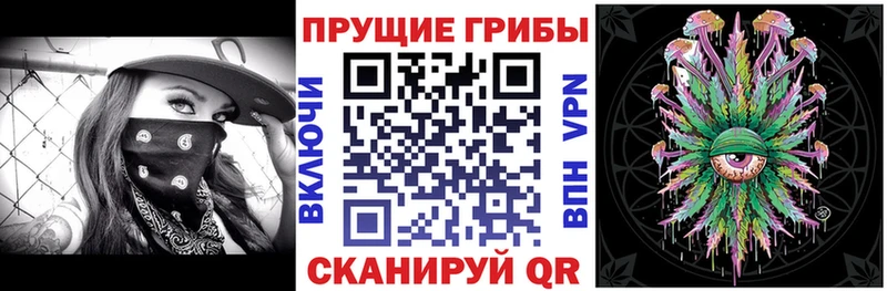 Псилоцибиновые грибы Magic Shrooms  где найти   Теберда 
